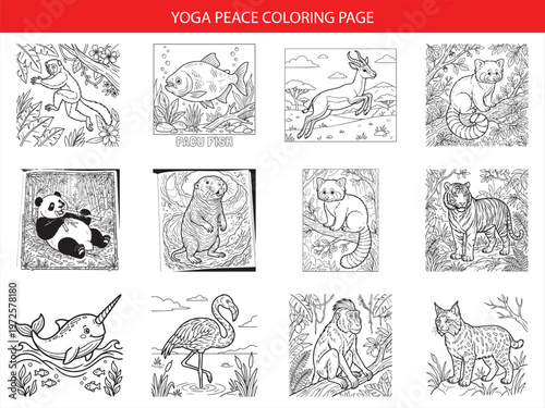 Yoga peace coloring page set featuring panda red panda narwhal and monkey line art for creative children activities