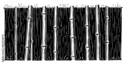 Vintage hand drawn engraving style illustration of bamboo stalks against dark background