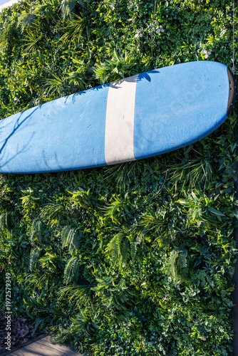 canoe on the green wall