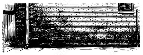 Detailed ink illustration of a weathered urban brick wall with downspout and gritty textures