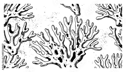 Detailed hand drawn underwater coral reef or lichen structures in monochrome ink style