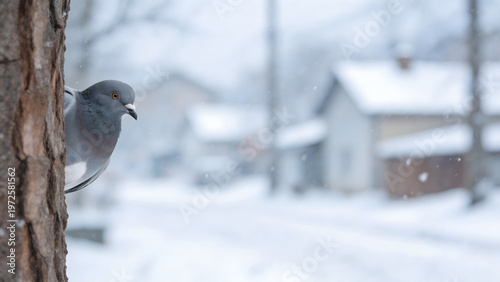 Pigeon perched on tree in snowy scene