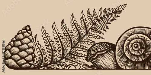 Detailed botanical illustration featuring a snail pinecone and ferns