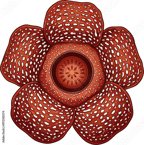 colossal majestic rafflesia arnoldii rare giant jungle blossom