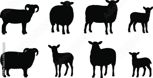 Sheep silhouettes set, farm livestock collection with ram ewe lamb icons for agriculture design