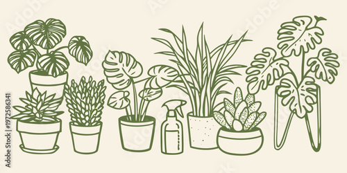 A collection of vibrant green houseplants in decorative pots and spray bottle