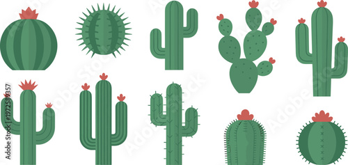 Set of various blooming cactus vector illustrations with pink flowers desert plants succulents prickly pear saguaro isolated on white background for nature design elements