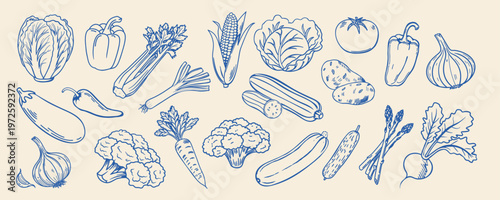 Hand drawn vegetable collection. Blue linear sketch. Food illustration.