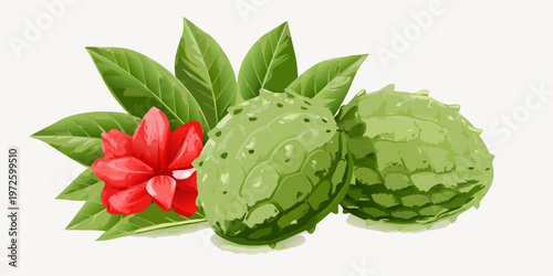 Vibrant illustration of cherimoya fruit with red flower and green leaves