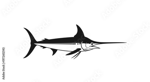 Black and white illustration of a marlin fish, isolated on white background
