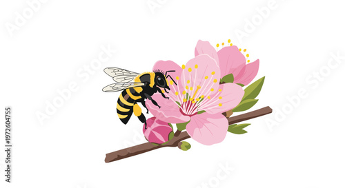 A vibrant honeybee with delicate wings perches on a blooming pink cherry blossom branch to collect nectar during a bright and sunny spring morning.