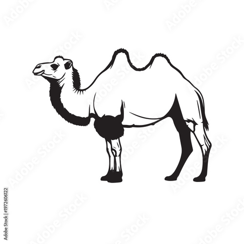 Camel Silhouette Set Black White Vector Illustration
Camel Animal Silhouette Collection Desert Mammal Vector
Camel outline Black Silhouette Isolated  Minimal Animal Illustration