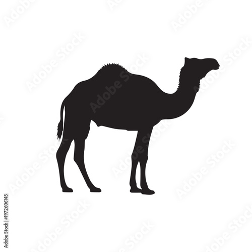Camel Silhouette Set Black White Vector Illustration
Camel Animal Silhouette Collection Desert Mammal Vector
Camel Black Silhouette Isolated Minimal Animal Illustration
