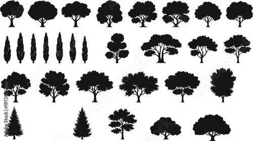 Vector illustration of various tree silhouettes including deciduous and coniferous species in black graphic design