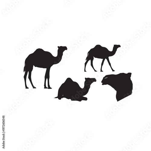 Camel Silhouette Set Black White Vector Illustration
Camel Animal Silhouette Collection Desert Mammal Vector
Camel Black Silhouette Isolated Set Minimal Animal Illustration