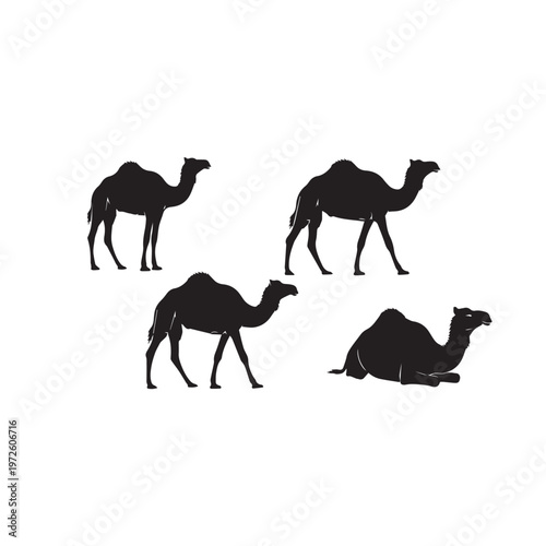 Camel Silhouette Set Black White Vector Illustration
Camel Animal Silhouette Collection Desert Mammal Vector
Camel Black Silhouette Isolated Set Minimal Animal Illustration