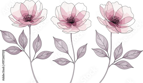 Set of Delicate Pink Poppy Flower Vector Illustrations with Soft Lavender Leaves for Minimalist Wedding Stationery, Fine Art Floral Prints, and Boutique Branding Designs