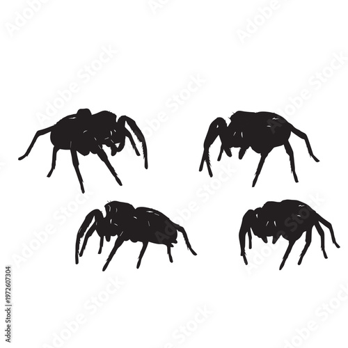 Jumping Spider Silhouette Set Black White Vector Illustration
Spider Silhouette Collection Jumping Spider Black Vector
Jumping Spider Black Silhouette Isolated Minimal Illustration