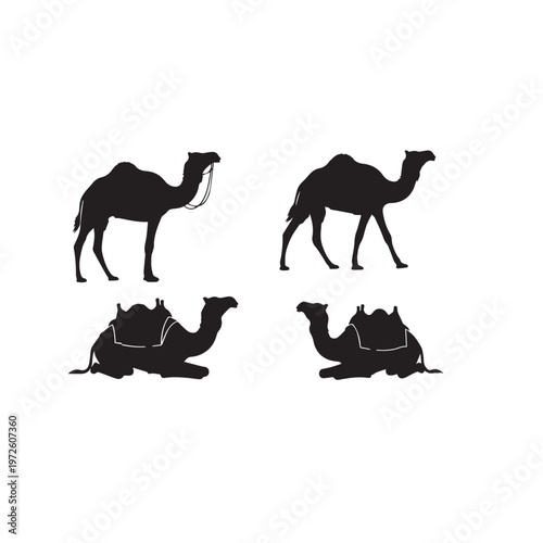 Camel Silhouette Set Black White Vector Illustration Camel Animal Silhouette Collection Desert Mammal Vector Camel Black Silhouette Isolated Set Minimal Animal Illustration