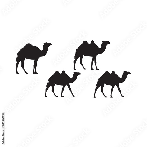 Camel Silhouette Set Black White Vector Illustration Camel Animal Silhouette Collection Desert Mammal Vector Camel Black Silhouette Isolated Set Minimal Animal Illustration