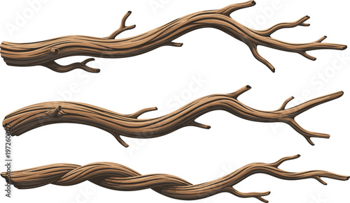 Set of Hand Drawn Realistic Wooden Tree Branches and Gnarly Twigs Isolated on White Background for Rustic Nature Frames, Forest Decor, and Woodwork Graphic Design