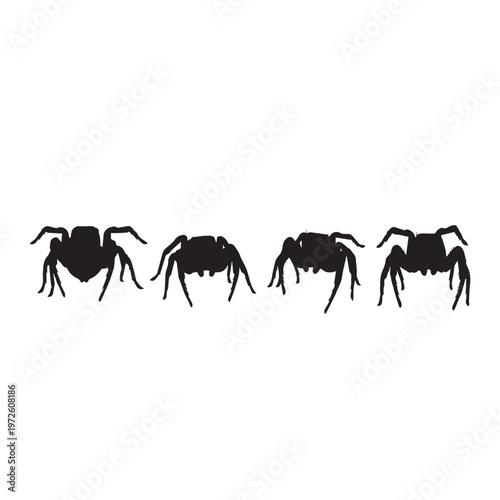 Jumping Spider Silhouette Set Black White Vector Illustration Spider Silhouette Collection Jumping Spider Black Vector Jumping Spider Black Silhouette Isolated Minimal Illustration
