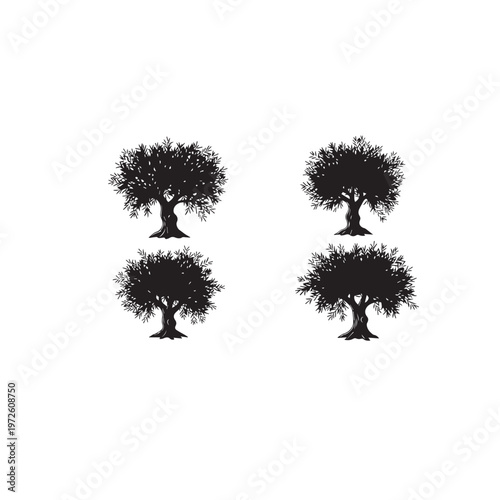  Olive Tree Silhouette Set Black White Vector Illustration Olive Branch Tree Silhouette Collection Nature Vector Olive Tree Black Silhouette Isolated Minimal Illustration
