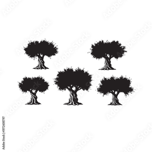  Olive Tree Silhouette Set Black White Vector Illustration Olive Branch Tree Silhouette Collection Nature Vector Olive Tree Black Silhouette Isolated Minimal Illustration