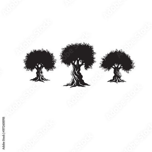  Olive Tree Silhouette Set Black White Vector Illustration Olive Branch Tree Silhouette Collection Nature Vector Olive Tree Black Silhouette Isolated Minimal Illustration