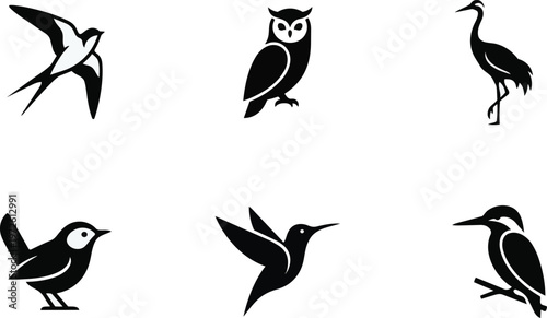 A collection of bird silhouettes on transparent background 