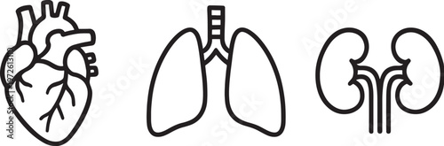 hand-drawn human heart and lungs medical illustration set