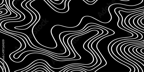 Abstract Black and White Topographic Contour Lines Vector Illustration Digital Landscapes and Geographic Elevation Patterns