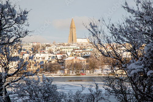 Hallgrimskirkja church and downtown Reykjavik framed by snowy tree branches