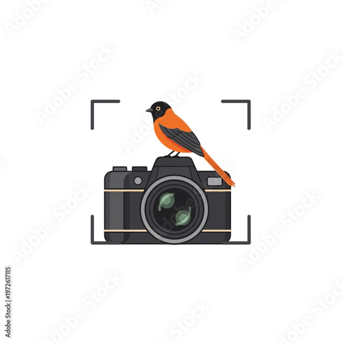 Bird Sitting on a Camera Body.