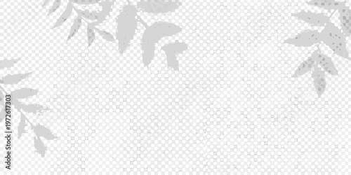 Delicate leaf shadows cast upon a textured light gray background