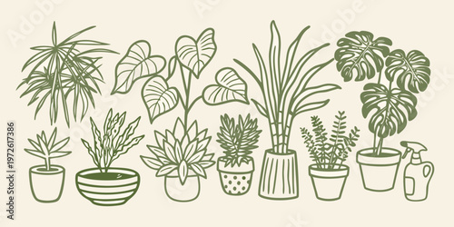 A collection of various potted houseplants and a spray bottle