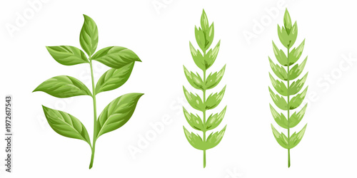 Three green plant stems with varying leaf arrangements are displayed