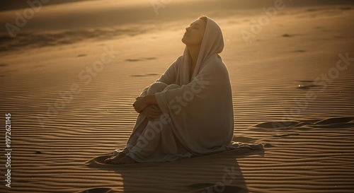A solitary figure contemplates the vast desert landscape at sunset.