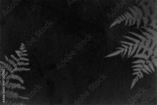 Moody black and white image of ferns in darkness, suitable for nature magazines, book covers, or website backgrounds.