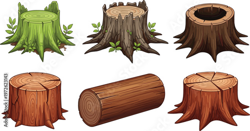 Tree stump collection with different wood textures and cuts, forest nature elements set, detailed timber logs and trunks vector illustration