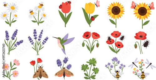 Set of Colorful Garden Flowers with Bees, Butterflies, Ladybugs, and Pollinators Including Sunflower, Tulip, Lavender, and Poppy Illustrations