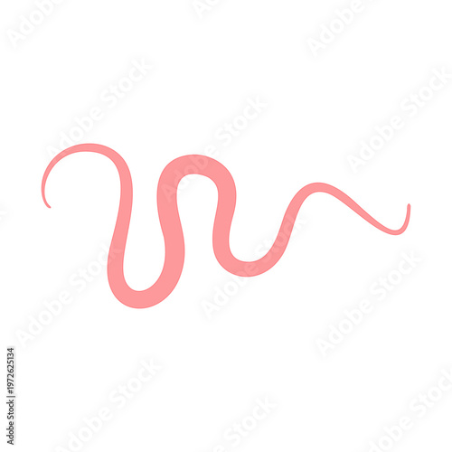 Tapeworm Cartoon Illustration in Flat Vector Style, Parasite Worm for Medical, Biology and Educational Design
