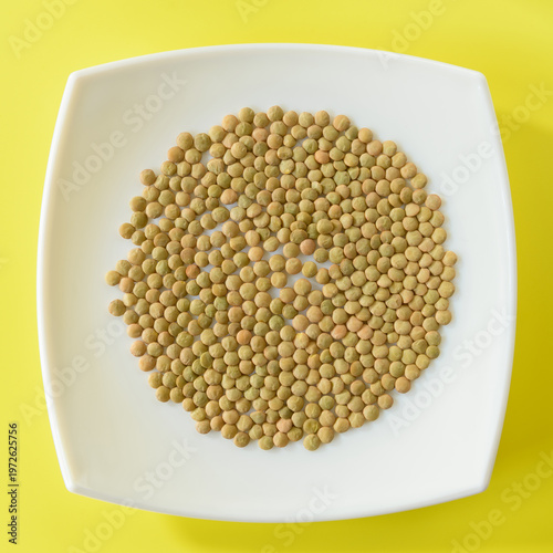 LENTEJAS (Lens Culinaris) EN UN PLATO BLANCO SOBRE FONDO AMARILLO