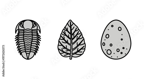 Trilobite fossil and leaf illustrations.