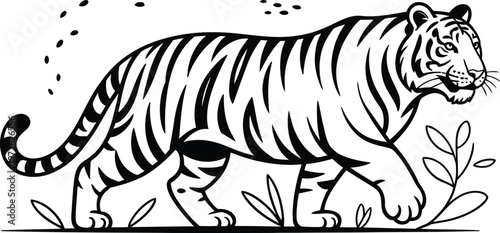 Tiger walking, black and white illustration, wildlife vector, animal design