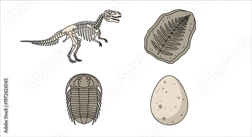 Fossilized dinosaur and trilobite remains.