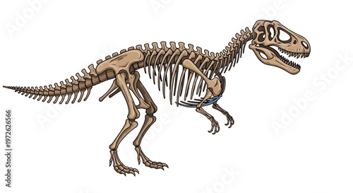 Dinosaur skeleton fossilized ancient creature.