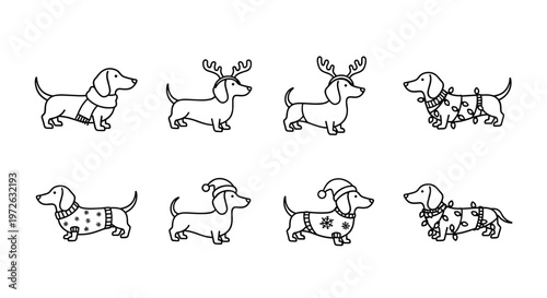 Cute dachshund dogs in festive holiday outfits and Christmas lights