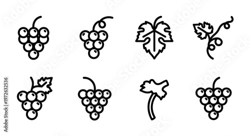 Collection of simple line art icons representing grapes and grape leaves