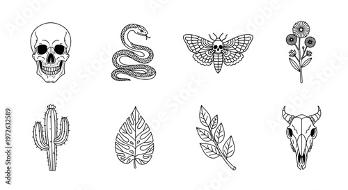 Collection of hand-drawn gothic and nature-inspired illustrations on a white background
